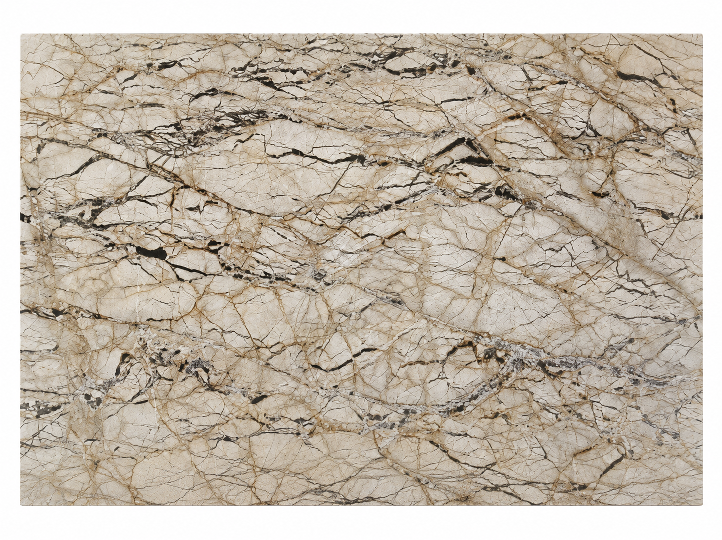 Full surface detail of Silver Roots